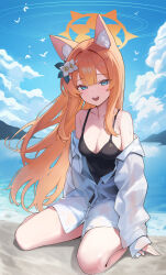 Rule 34 | 1girl, :d, absurdres, animal ear fluff, animal ears, beach, black one-piece swimsuit, blue archive, blue eyes, blush, breasts, buttons, cat ears, cloud, collarbone, collared shirt, day, flower, hair flower, hair ornament, highres, long hair, looking at viewer, mari (blue archive), ocean, one-piece swimsuit, open mouth, orange hair, outdoors, setakman, shirt, sky, small breasts, smile, solo, swimsuit, white flower, white shirt