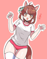 Rule 34 | 1girl, alternate costume, arms at sides, bow, breasts, brown eyes, brown hair, buruma, commentary request, dantsu flame (umamusume), highres, horse girl, looking at viewer, medium breasts, medium hair, mira shamaliyy, open mouth, pink bow, shirt, simple background, solo, sweat, thighhighs, thighs, umamusume